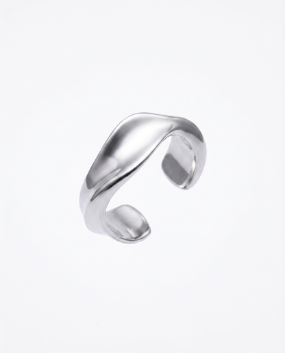 VEIL X-01
